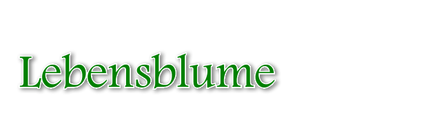 Lebensblume Wernfels, Praxis für Gesundheit und Selbst-Bewusst-Sein